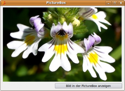 PictureBox